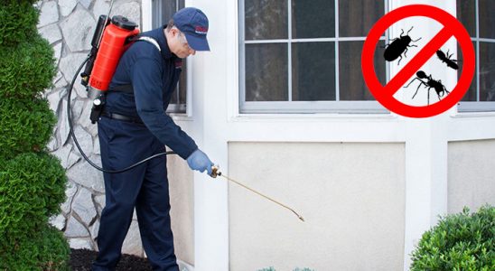 Akçakoca Böcek ve Haşere İlaçlama böcek ilaçlama ve haşere kontrolü — ilaclama-tr.com